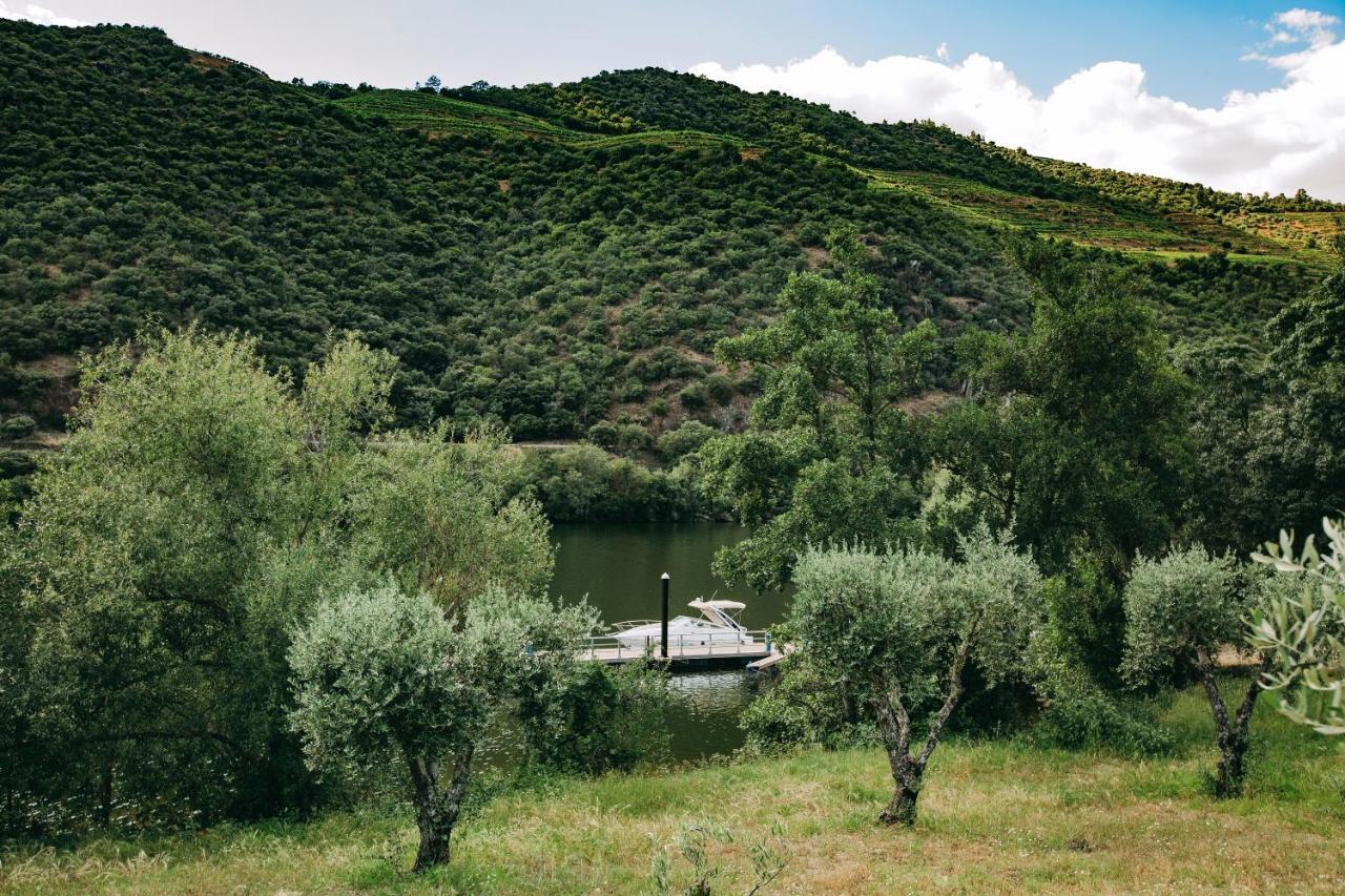 Ventozelo & Quinta Hotel