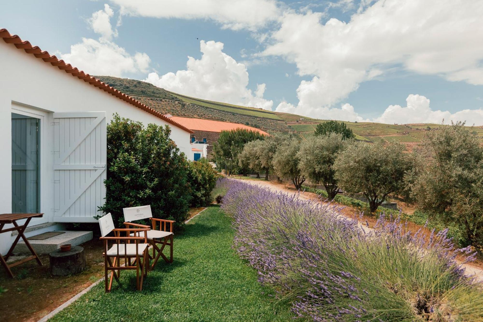 Ventozelo & Quinta Hotel Ervedosa do Douro
