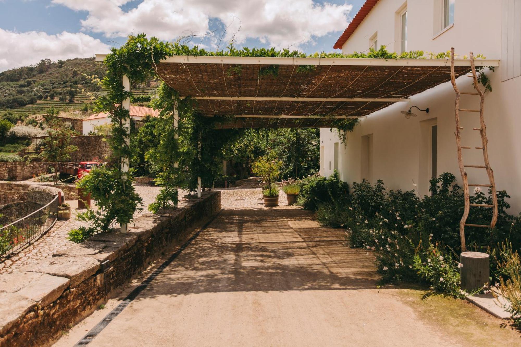 Hotel Ventozelo & Quinta